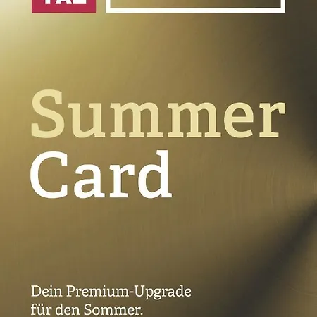 克里斯蒂安妮尔酒店 公寓 *